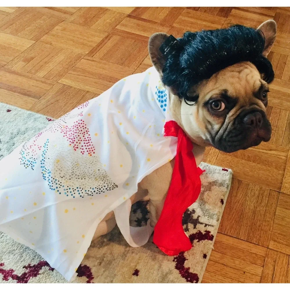Elvis Presley Dog Costume Medium Rubie's Cape Scarf Wig 580268 Pet Halloween